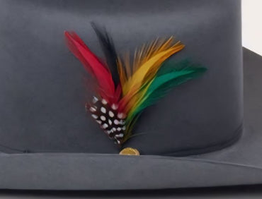 Pluma clásica original