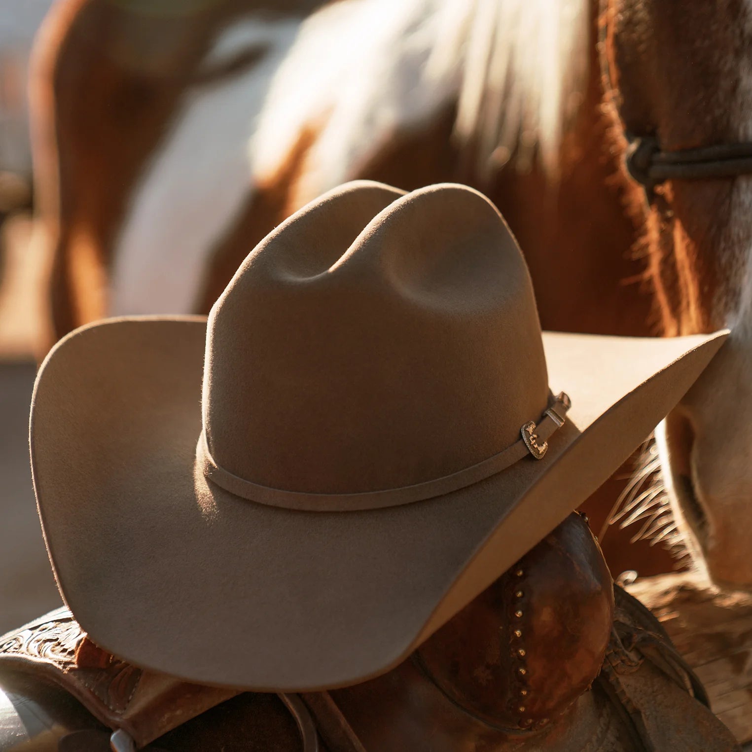 Stetson 6x Skyline Sahara
