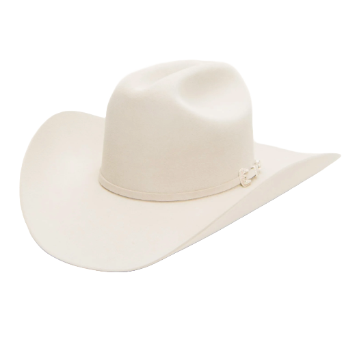 Stetson 6x Skyline Silverbelly