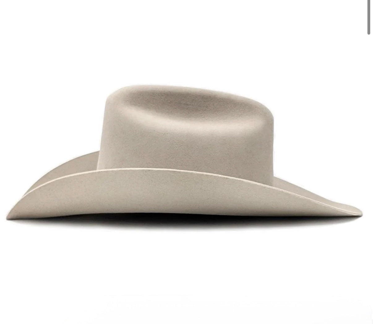 Stetson 6X Guadalupana-Silverbelly